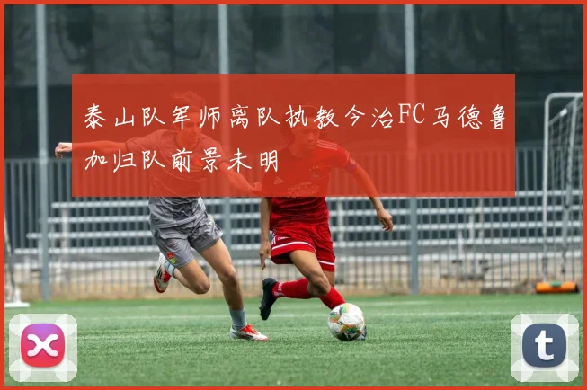 泰山队军师离队执教今治FC马德鲁加归队前景未明