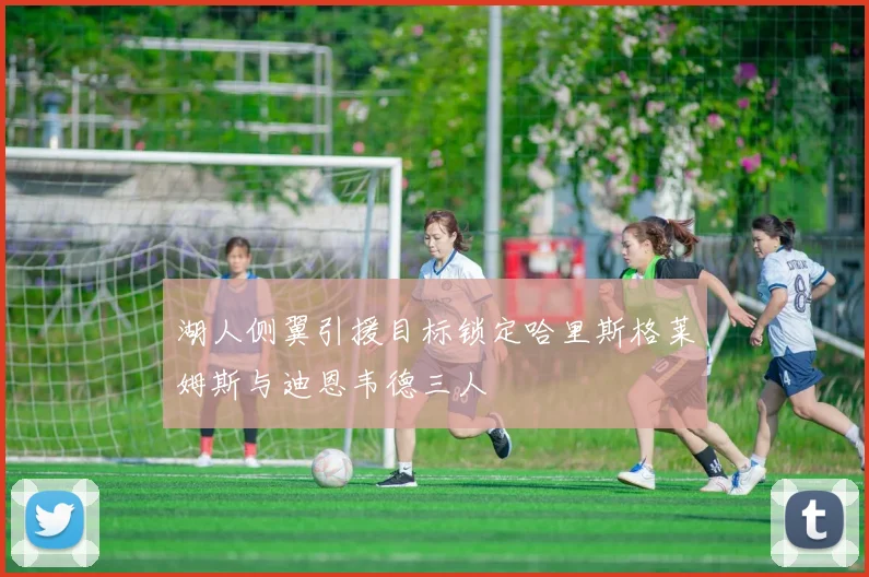 湖人侧翼引援目标锁定哈里斯格莱姆斯与迪恩韦德三人